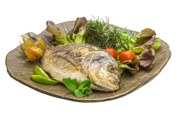 Dorado grilled — Stock Photo, Image