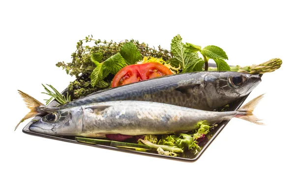 Atlantic raw sardine — Stock Photo, Image