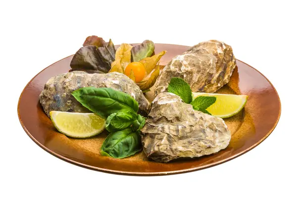 Fresh oyster — Stock Photo, Image