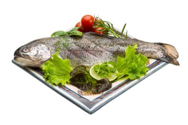 taze çiğ Gökkuşağı alabalığı