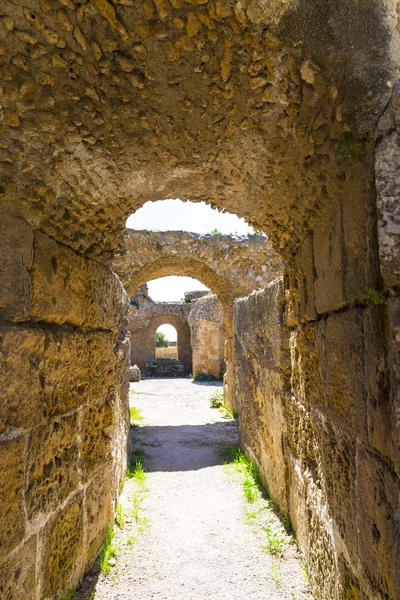 Vecchie rovine di Cartagine — Foto Stock