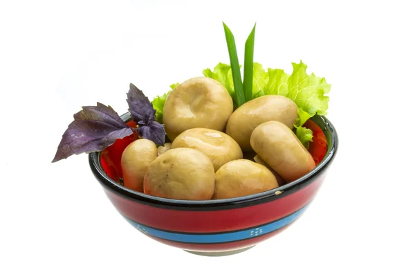 Rijp verse champignon — Stockfoto