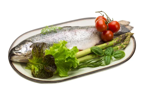 Fresh raw rainbow trout — Stock Photo, Image