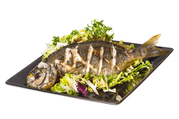 Salema porgy - gestreepte vissen — Stockfoto