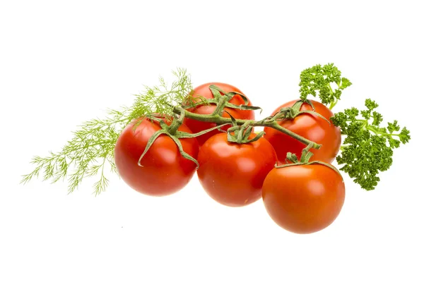 Tomates rojos maduros en la rama —  Fotos de Stock