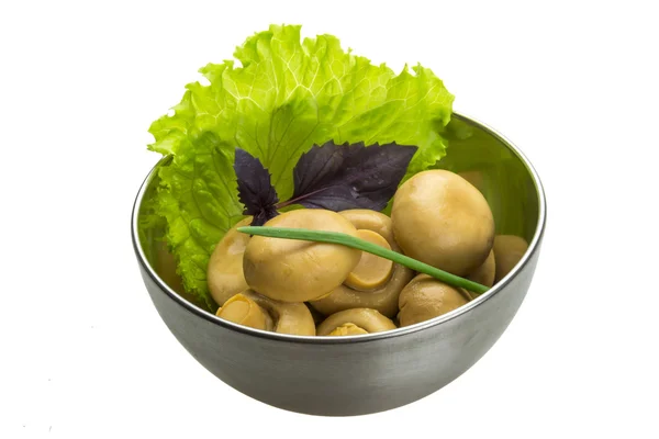 Rijp verse champignon — Stockfoto