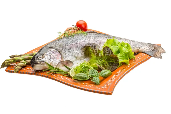 Fresh raw rainbow trout — Stock Photo, Image