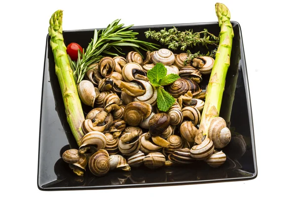 Escargot with asparagus, rosemary, thymus and tomato — Stock Photo, Image