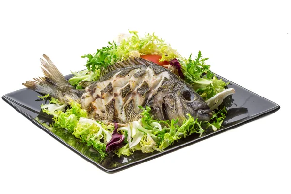 Gegrillter Tilapia mit Salat — Stockfoto
