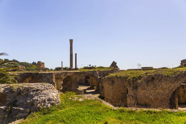 Old Carthage ruins — Stock Photo, Image