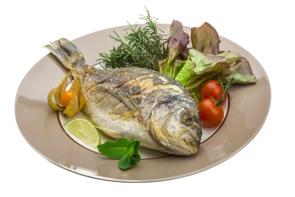 Dorado grilled — Stock Photo, Image