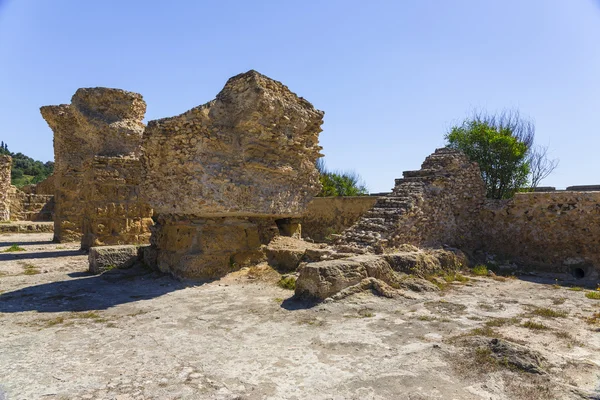 Antiguas ruinas de Cartago — Foto de Stock