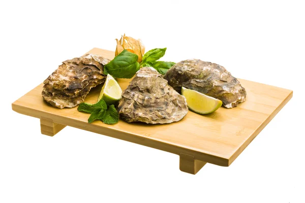 Fresh oyster — Stock Photo, Image