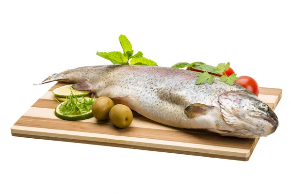 Fresh raw rainbow trout — Stock Photo, Image