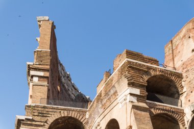 Kolezyum, Roma, İtalya
