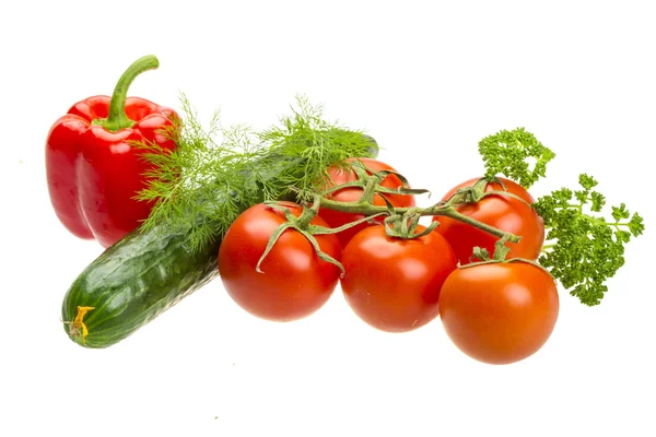 Rode rijpe tomaten op de tak — Stockfoto