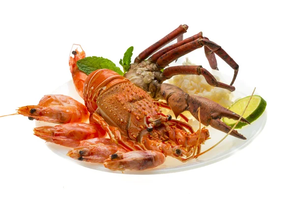 Lagosta espinhosa, camarões, pernas de caranguejo e arroz — Fotografia de Stock