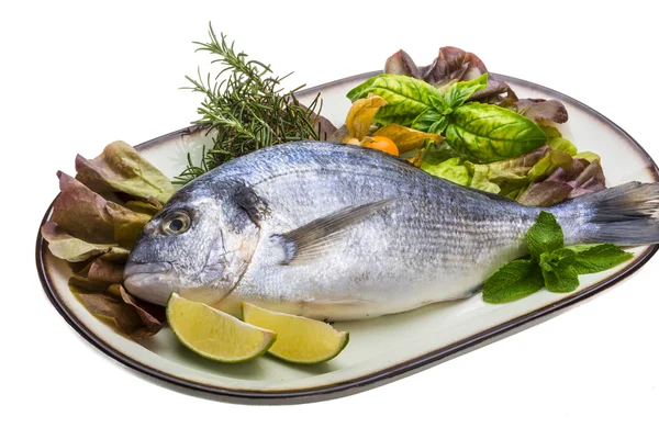 Fresh raw dorada — Stock Photo, Image