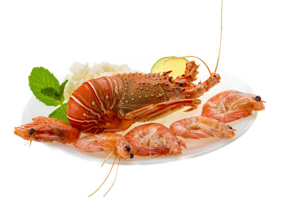 Spiny lobster, shrimps and rice