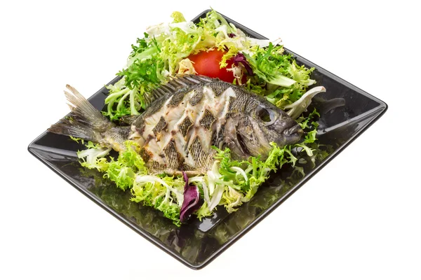 Geroosterde tilapia met salade — Stockfoto