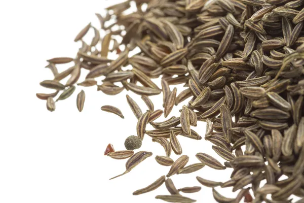 Caraway — Stock Photo, Image