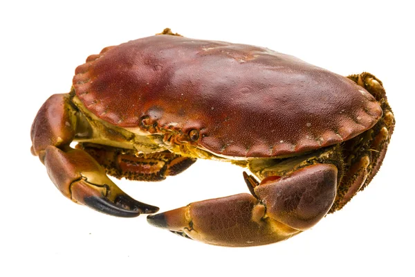 Raw crab — Stock Photo, Image