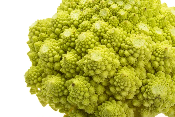 Romanesco káposzta — Stock Fotó