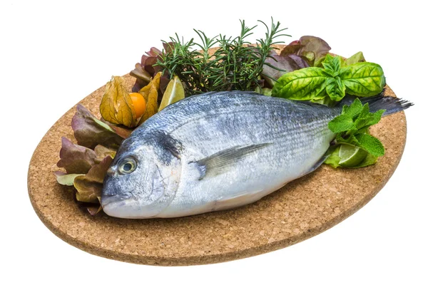 Fresh raw dorada — Stock Photo, Image