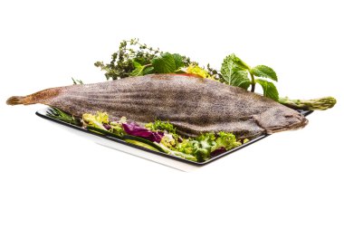 dil balığı balık