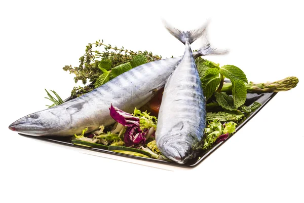 Friss Atlanticmackerel — Stock Fotó