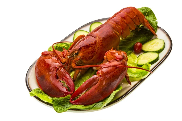 Grand homard — Photo