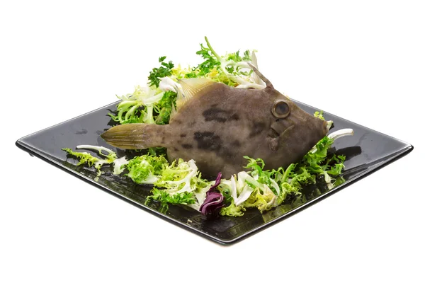 Vis pesce san pietro — Stockfoto