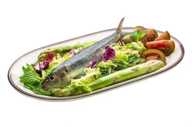 taze ringa balığı