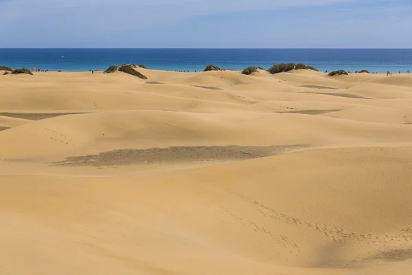 Maspalomas Duna - Pustynia na Wyspach Kanaryjskich Gran Canaria — Zdjęcie stockowe