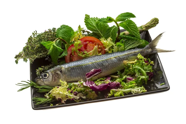 Fresh Herring — Stock Photo, Image