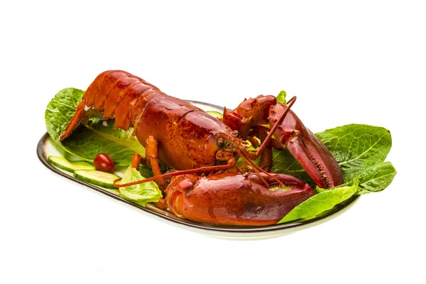 Large Lobster — Stock Photo, Image