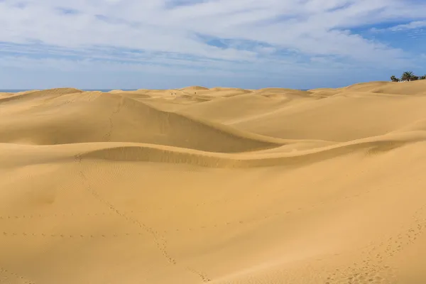 Maspalomas Duna - Woestijn op Canarische Eilanden Gran Canaria — Stockfoto