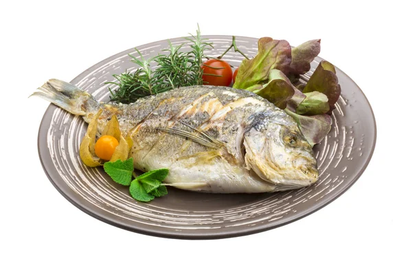 Dorado grilled — Stock Photo, Image