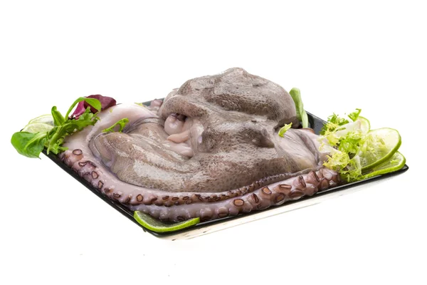 Raw large octopus — Stock Photo, Image