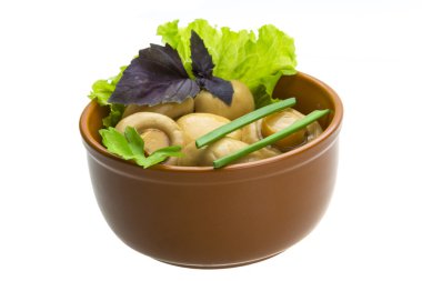 Olgun taze champignon