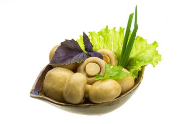 Olgun taze champignon