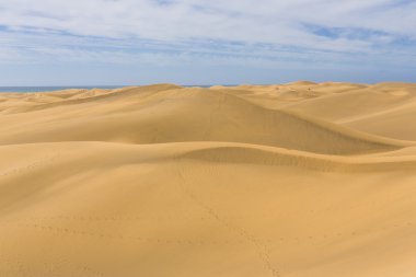 Maspalomas Duna - Kanarya adası Büyük Kanarya Çölü