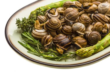 enginar, kuşkonmaz, biberiye, timus ve domates ile