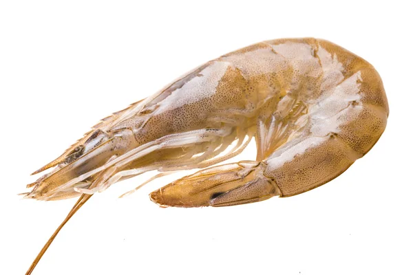 Big raw shrimps — Stock Photo, Image