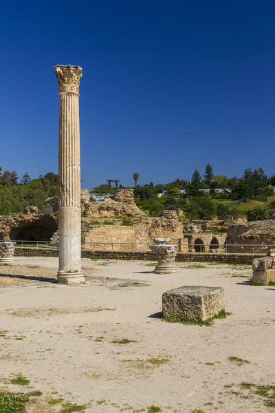 Old Carthage ruins — Stock Photo, Image