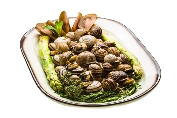 Escargot with asparagus, rosemary, thymus and tomato — Stock Photo, Image