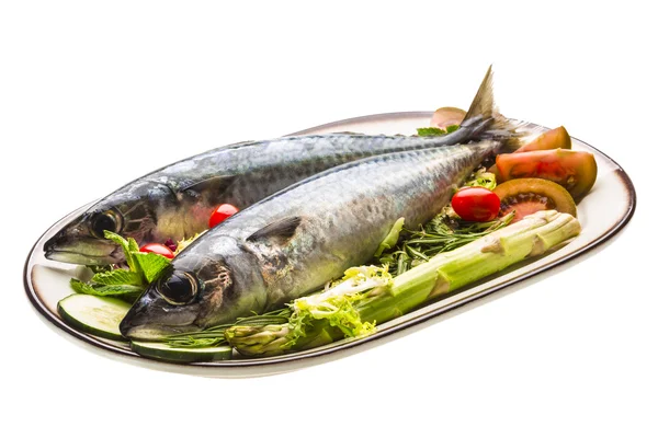 Atlantische ruwe sardine — Stockfoto