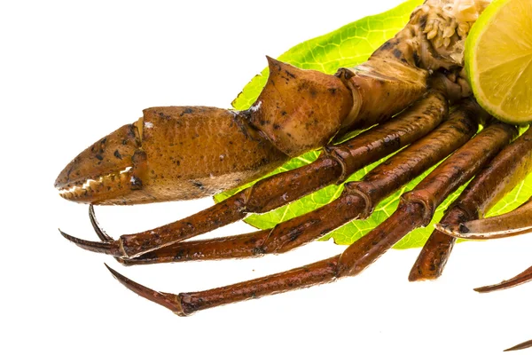 Crab legs — Stock Photo, Image