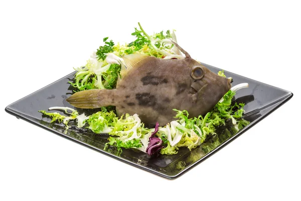 Fisch pesce san pietro — Stockfoto