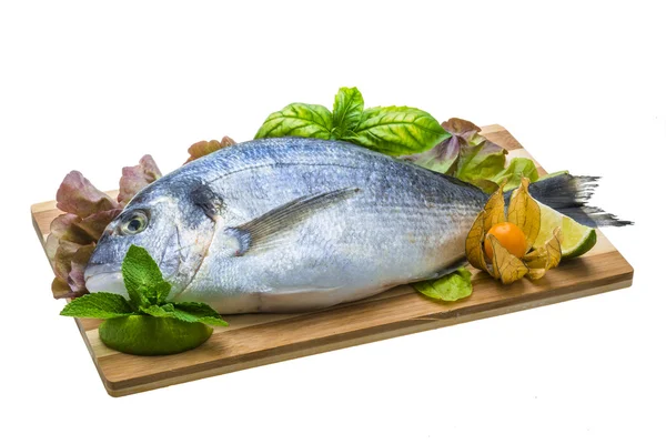 Fresh raw dorada — Stock Photo, Image